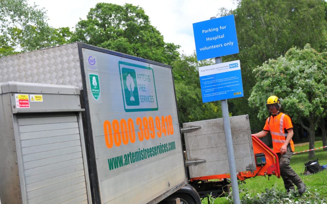 Local business Artemis donate their tree surgery skills to the garden