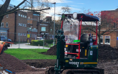 The Healing Garden is starting to take shape