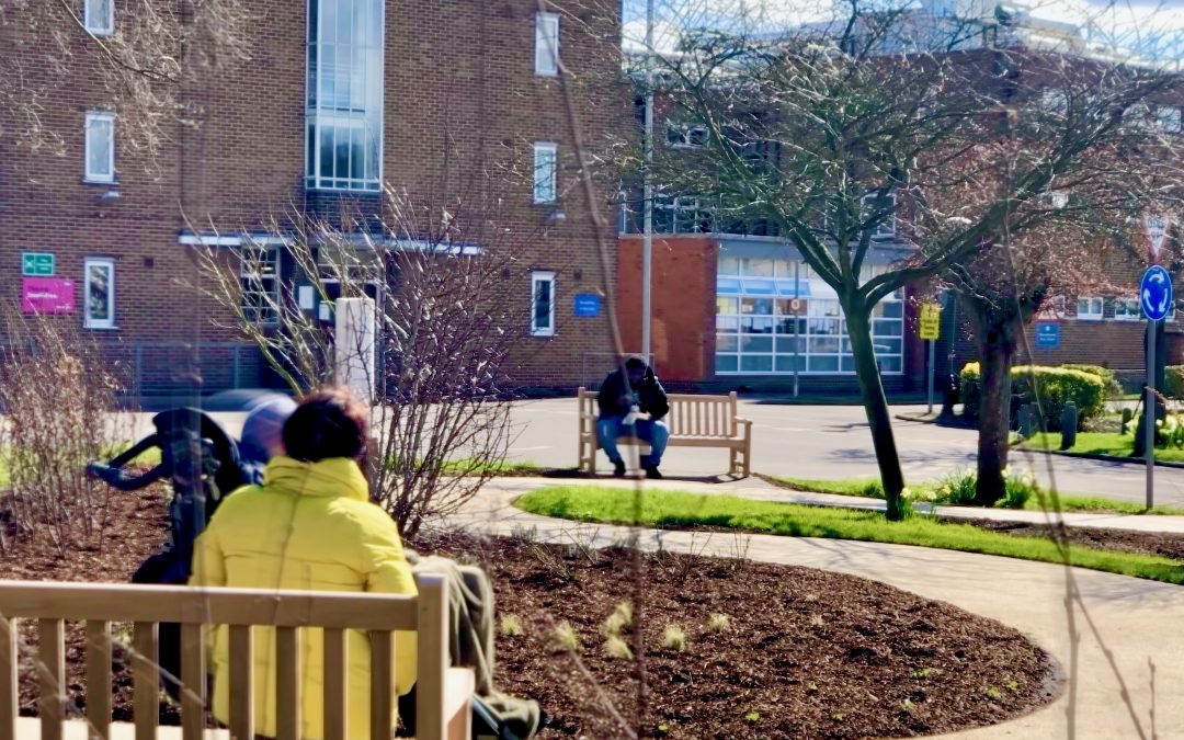 ⭐️The HarefieldHealing Garden welcomes its first visitors⭐️