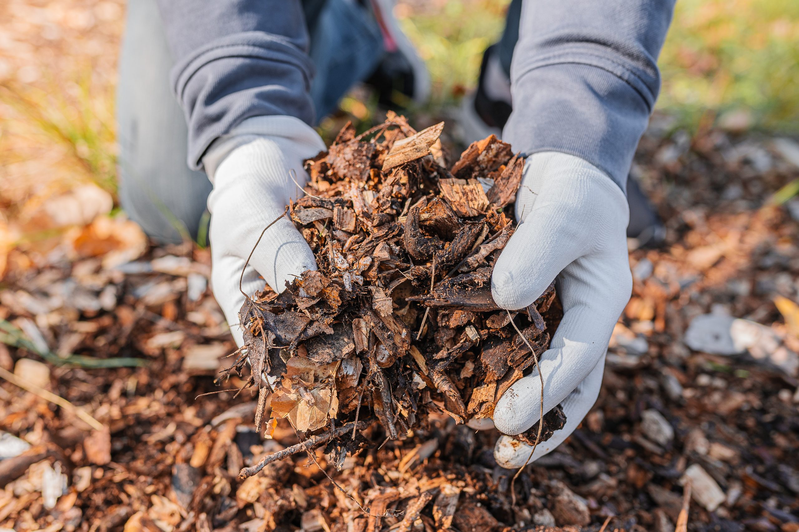 Man's,Hands,In,Gardening,Gloves,Are,Sorting,Through,The,Chopped