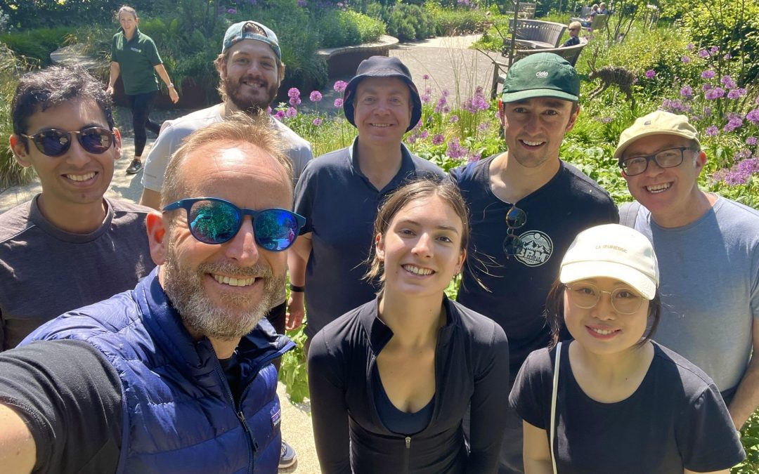 Corporate Volunteering: PwC return to the Healing Garden