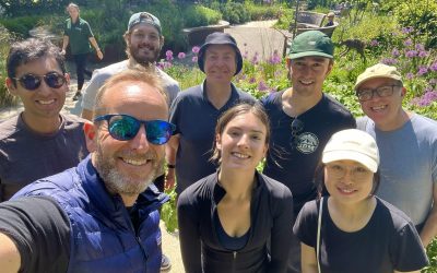 Corporate Volunteering: PwC return to the Healing Garden